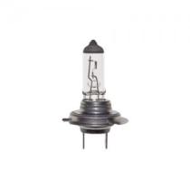 LAMPARAS 775 - LAMP HALOG H-7 24V.70W.PX26D