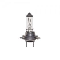 LAMPARAS 776 - LAMP HALOG H-7 24V.70W.PX26D