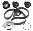 BOMBAS DE AGUA Y DISTRIBUCIONES KD049 - KIT CON BOMBA BERLINGO C2 C3 C4 XSARA+PICASSO 206 206CC 206S